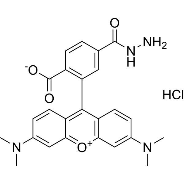 TAMRA hydrazide (6-isomer) 2183440-67-5